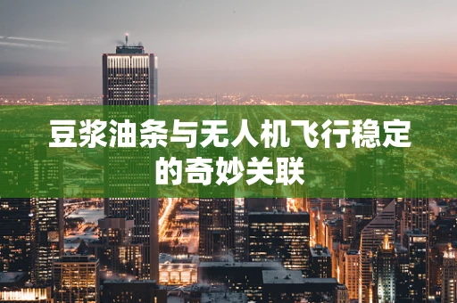 豆浆油条与无人机飞行稳定的奇妙关联