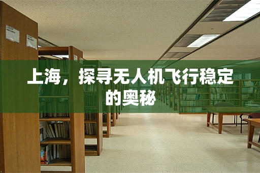 上海，探寻无人机飞行稳定的奥秘