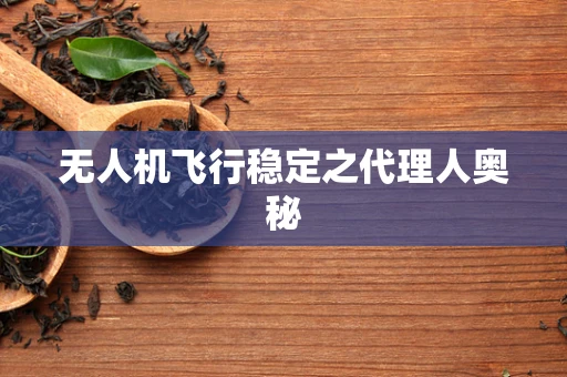 无人机飞行稳定之代理人奥秘