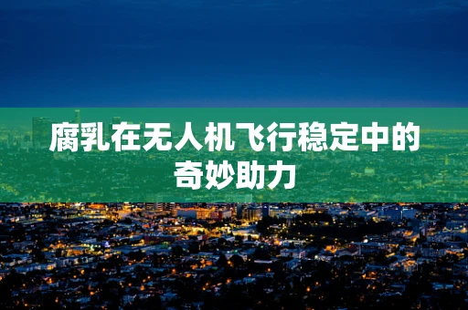 腐乳在无人机飞行稳定中的奇妙助力