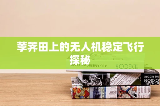 荸荠田上的无人机稳定飞行探秘