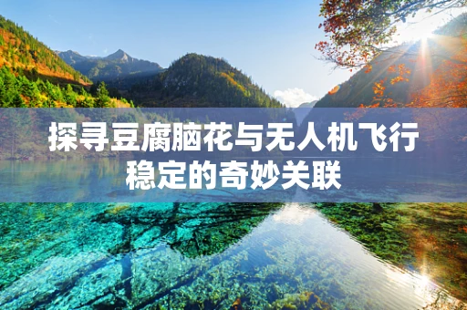 探寻豆腐脑花与无人机飞行稳定的奇妙关联