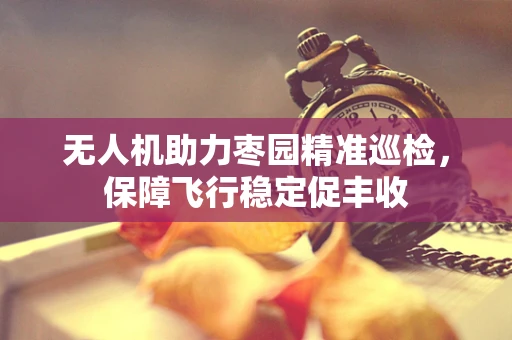 无人机助力枣园精准巡检，保障飞行稳定促丰收