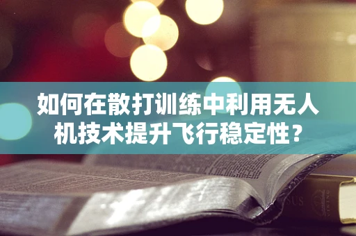 如何在散打训练中利用无人机技术提升飞行稳定性？