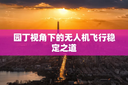 园丁视角下的无人机飞行稳定之道