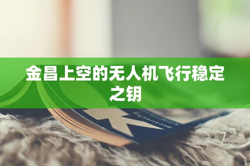 金昌上空的无人机飞行稳定之钥