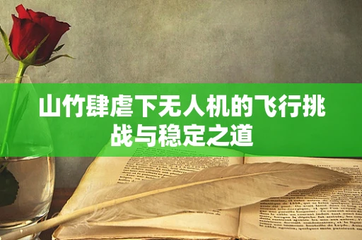 山竹肆虐下无人机的飞行挑战与稳定之道