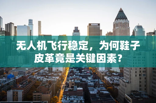 无人机飞行稳定，为何鞋子皮革竟是关键因素？