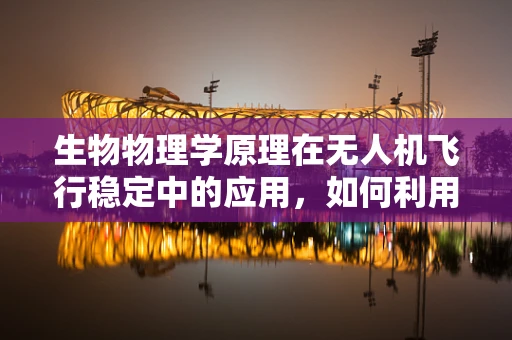 生物物理学原理在无人机飞行稳定中的应用，如何利用生物运动控制机制提升无人机稳定性？