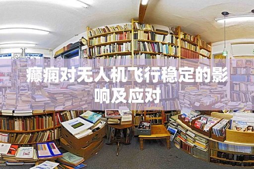 癫痫对无人机飞行稳定的影响及应对
