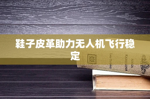 鞋子皮革助力无人机飞行稳定