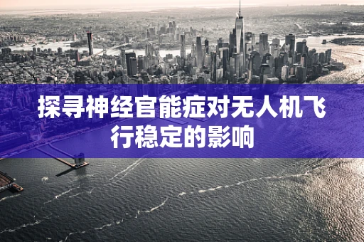 探寻神经官能症对无人机飞行稳定的影响