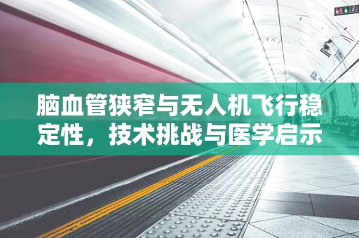 脑血管狭窄与无人机飞行稳定性，技术挑战与医学启示