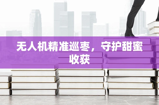 无人机精准巡枣，守护甜蜜收获