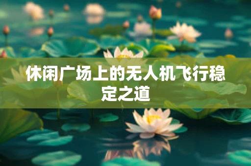 休闲广场上的无人机飞行稳定之道