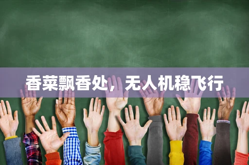 香菜飘香处，无人机稳飞行