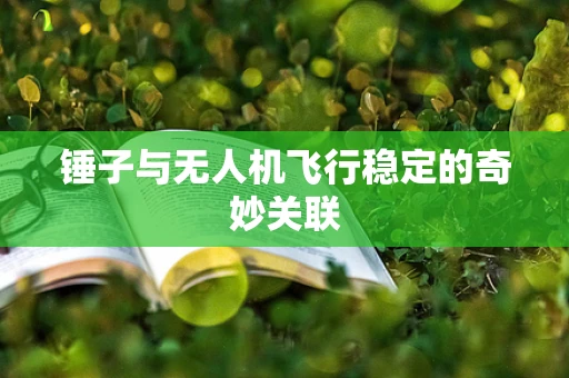锤子与无人机飞行稳定的奇妙关联