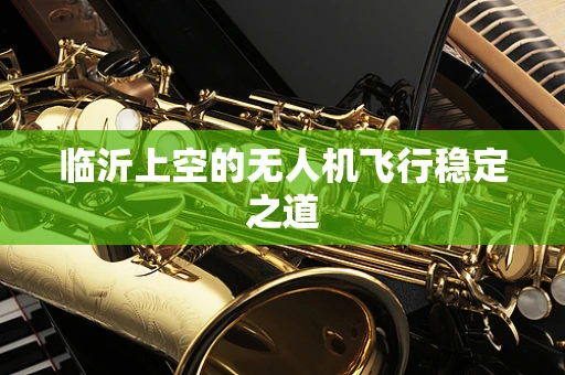 临沂上空的无人机飞行稳定之道