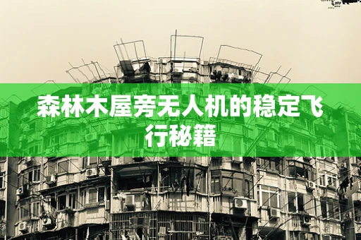 森林木屋旁无人机的稳定飞行秘籍