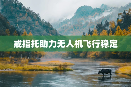 戒指托助力无人机飞行稳定