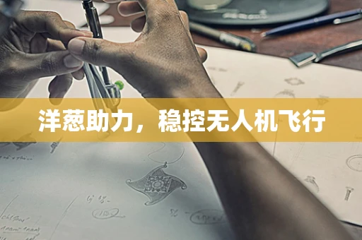 洋葱助力，稳控无人机飞行