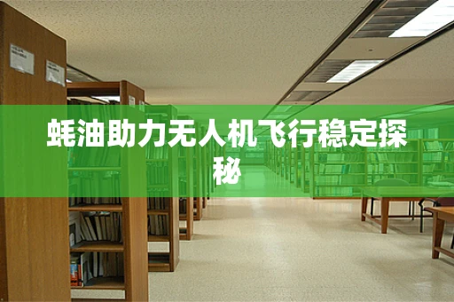 蚝油助力无人机飞行稳定探秘