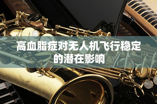 高血脂症对无人机飞行稳定的潜在影响
