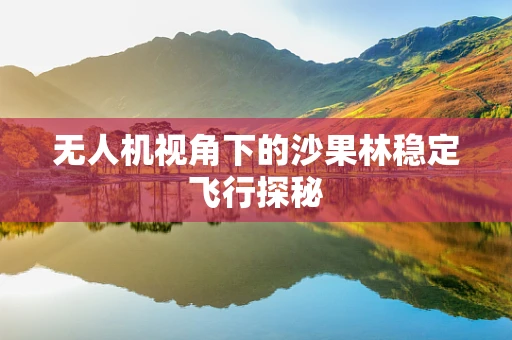 无人机视角下的沙果林稳定飞行探秘