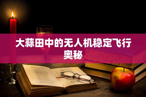 大蒜田中的无人机稳定飞行奥秘