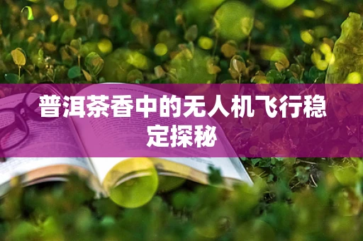 普洱茶香中的无人机飞行稳定探秘