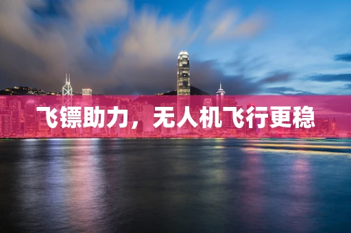 飞镖助力，无人机飞行更稳
