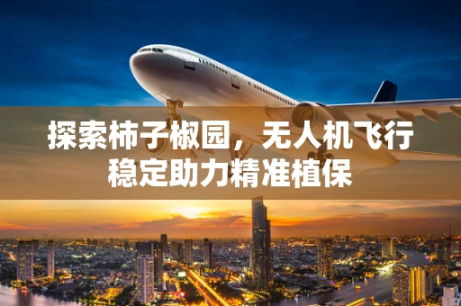 探索柿子椒园，无人机飞行稳定助力精准植保