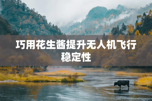 巧用花生酱提升无人机飞行稳定性
