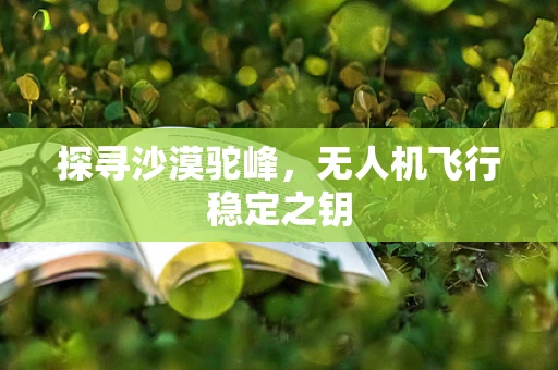 探寻沙漠驼峰，无人机飞行稳定之钥