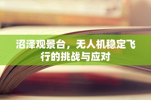 沼泽观景台，无人机稳定飞行的挑战与应对