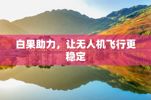 白果助力，让无人机飞行更稳定