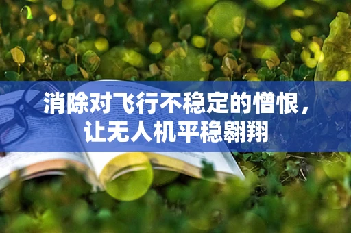 消除对飞行不稳定的憎恨，让无人机平稳翱翔