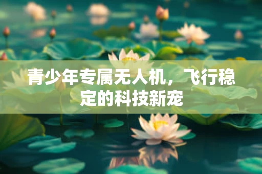 青少年专属无人机，飞行稳定的科技新宠
