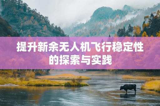 提升新余无人机飞行稳定性的探索与实践