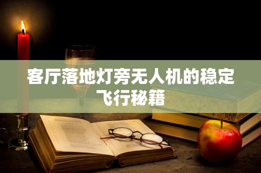客厅落地灯旁无人机的稳定飞行秘籍