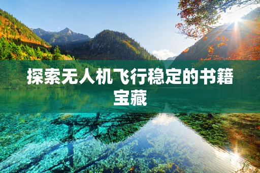 探索无人机飞行稳定的书籍宝藏