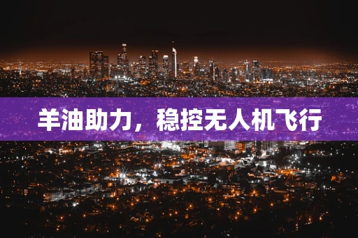 羊油助力，稳控无人机飞行