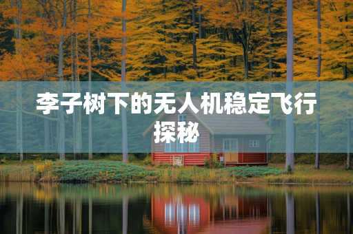 李子树下的无人机稳定飞行探秘