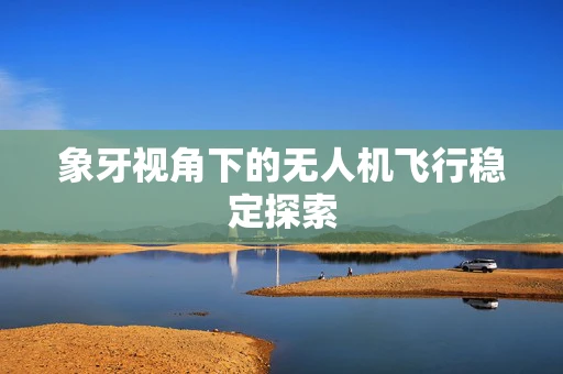 象牙视角下的无人机飞行稳定探索