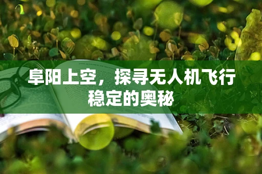 阜阳上空，探寻无人机飞行稳定的奥秘