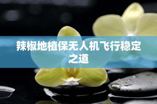 辣椒地植保无人机飞行稳定之道