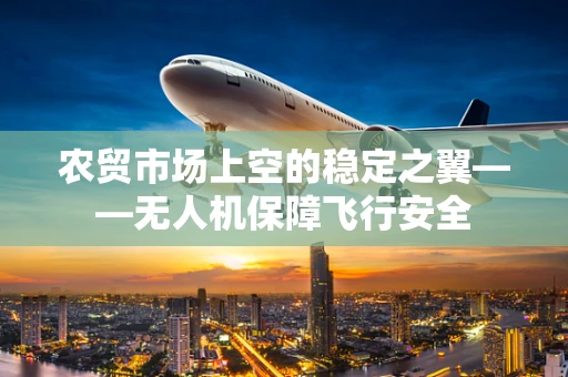 农贸市场上空的稳定之翼——无人机保障飞行安全