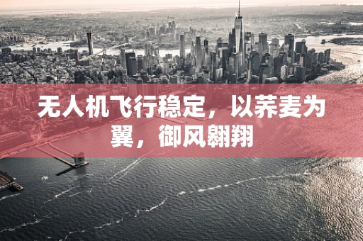 无人机飞行稳定，以荞麦为翼，御风翱翔