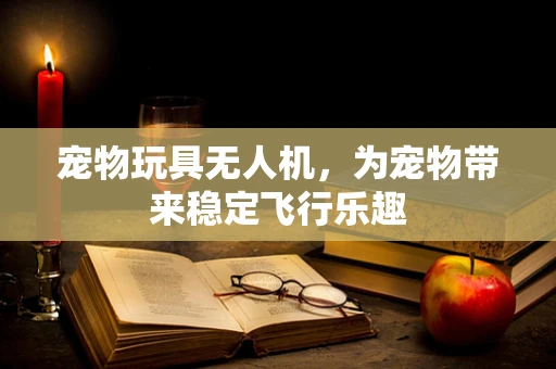 宠物玩具无人机，为宠物带来稳定飞行乐趣