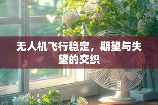 无人机飞行稳定，期望与失望的交织